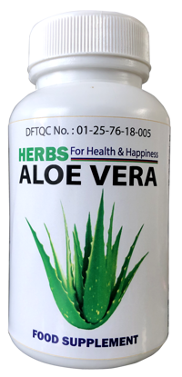 Picture of Herbs Aloe Vera