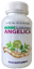Picture of Herbs Angelica