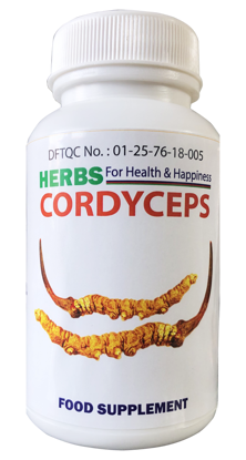 Picture of Herbs Cordyceps